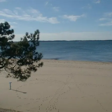 Centre D'arcachon Arcachon
